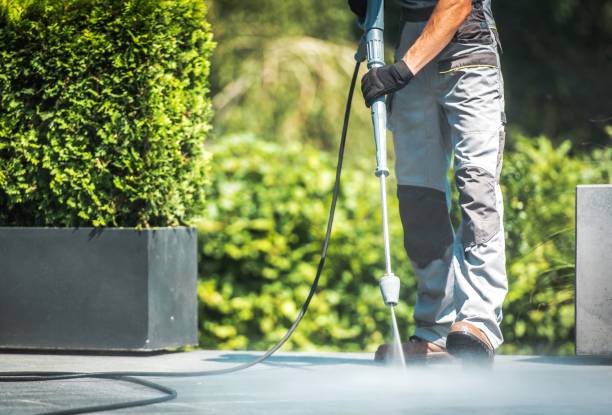 Best Roof Cleaning and Mildew Removal in Romney, WV